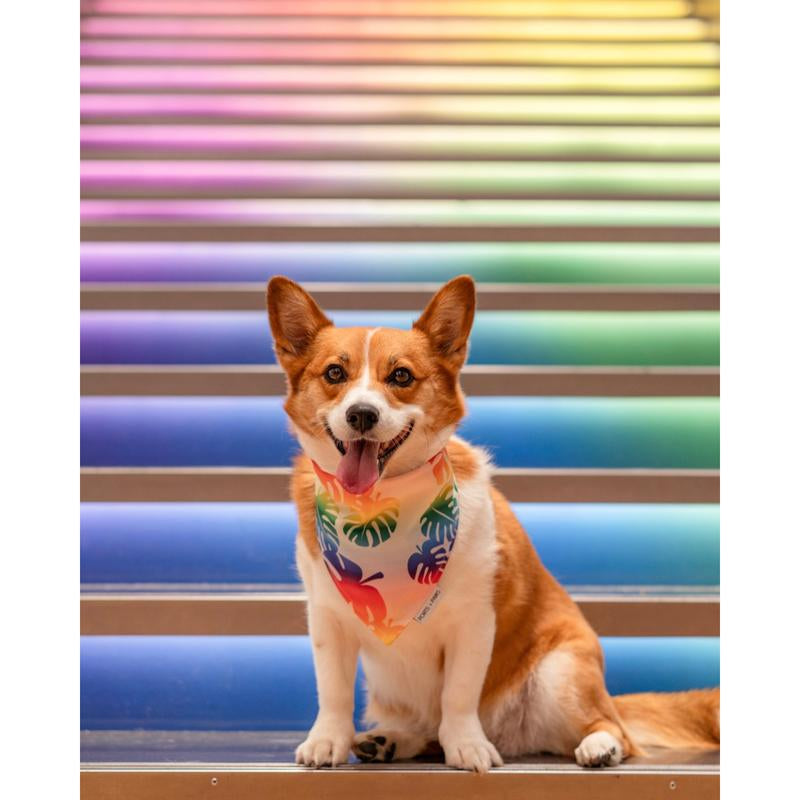 QUICK DRY BANDANA - RAINBOW MONSTERA
