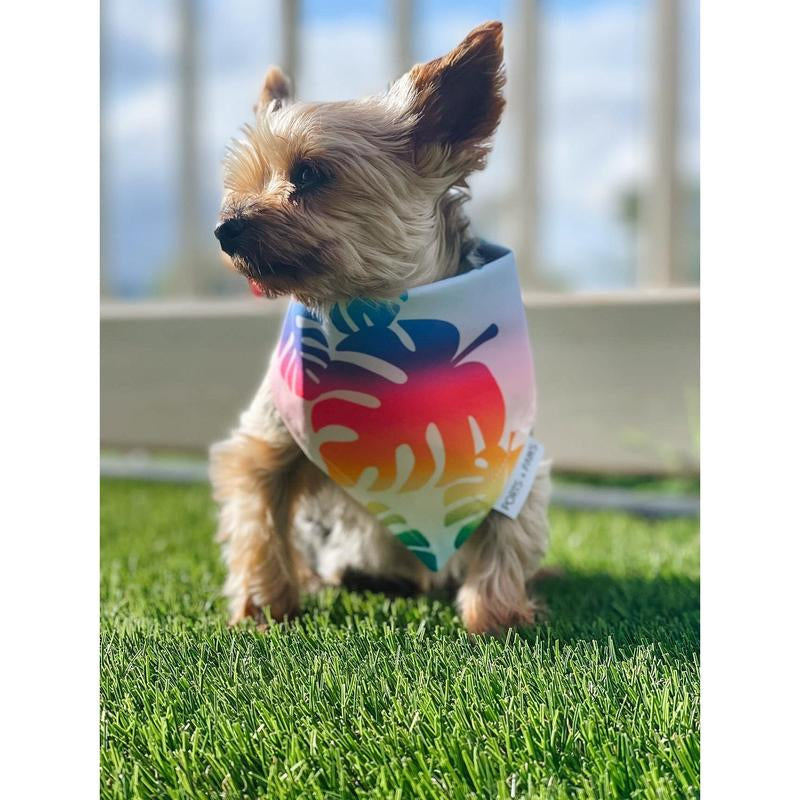 QUICK DRY BANDANA - RAINBOW MONSTERA