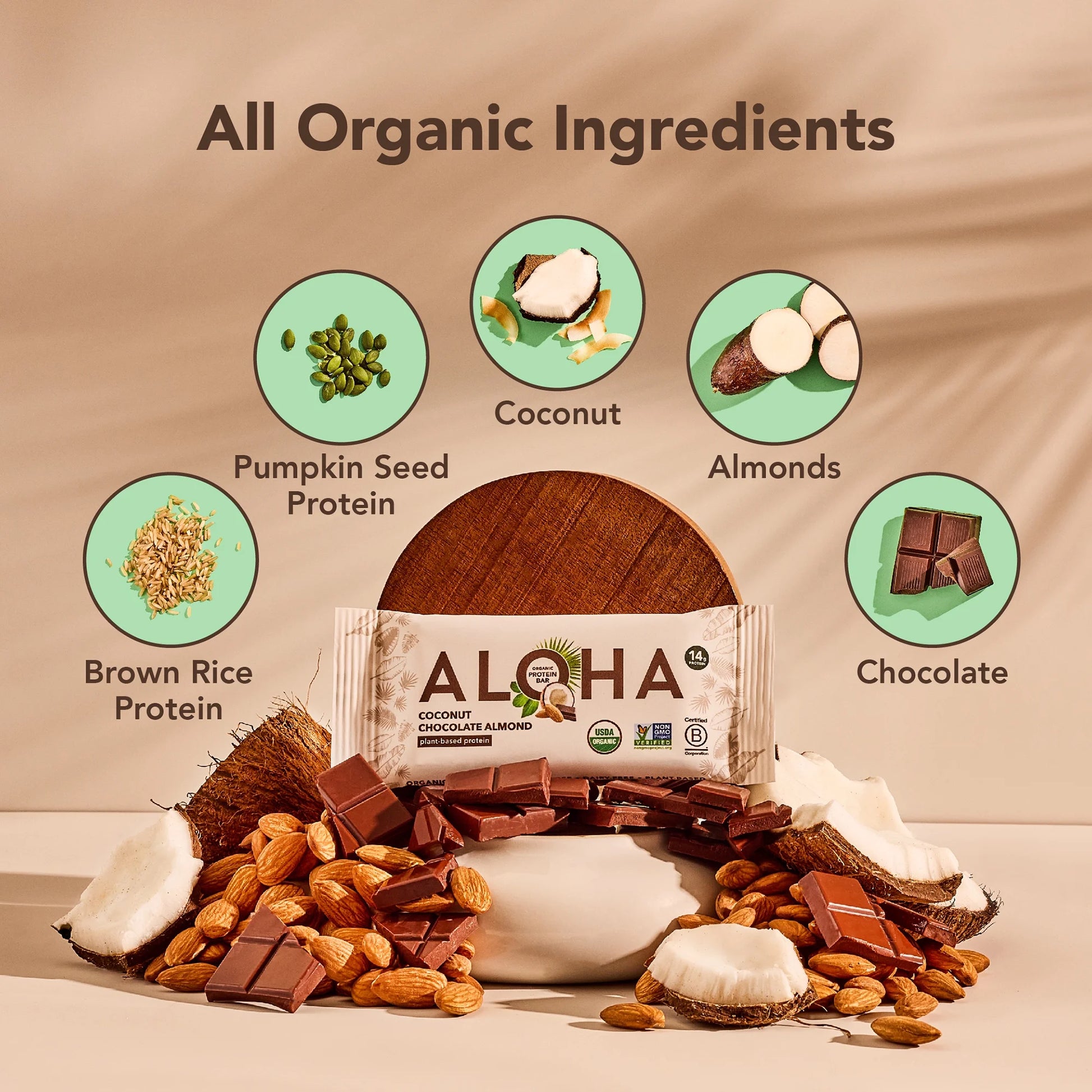 Plant Based Protein Bars, Coconut Chocolate Almond, 14G Protein (Pack of 12)