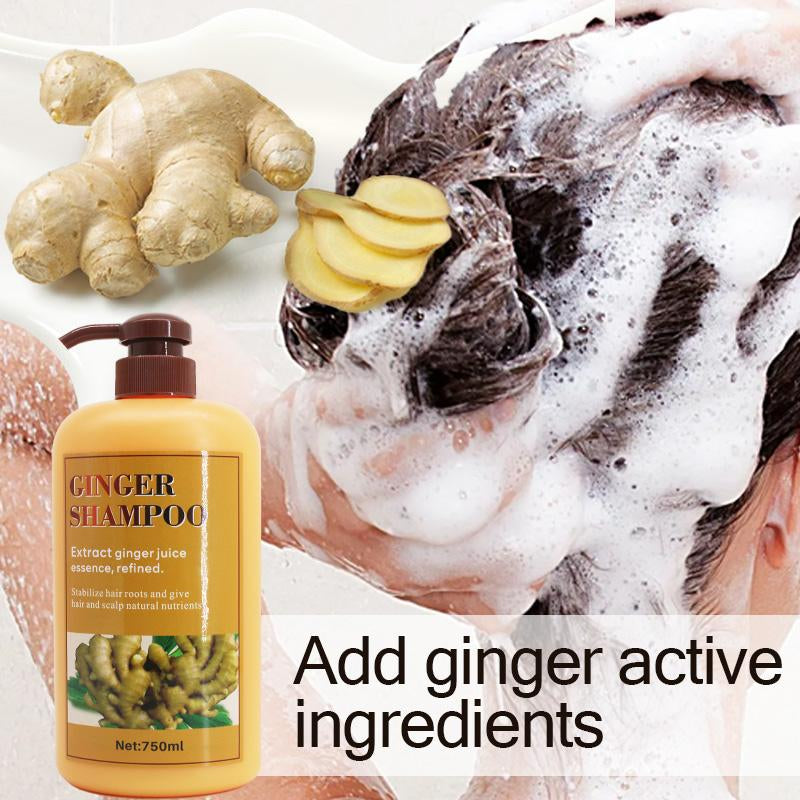 [FDA Approved] 750Ml Ginger Hair Shampoo Fast Regrowth Hair Thick Anti-Hair Loss Anti-Dandruff Anti-Itching Shampoo Conditioner Haircare Cleansing Cleanser