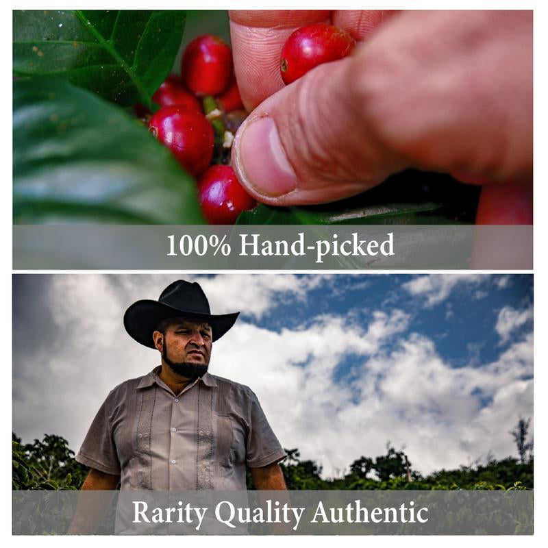 Volcano King Coffee 100% Hand Picked Kona Coffee from Hawaii Convenient Single Serve Pour over Drip Coffee Pack Sustainably Grown and Roasted in Our Kona Farms 6 Servings per Box Beverage