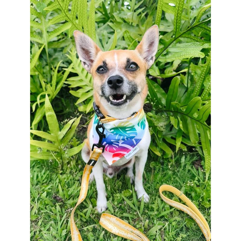 QUICK DRY BANDANA - RAINBOW MONSTERA